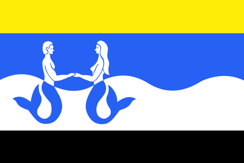 Bestand:Schouwen-Duiveland vlag.png