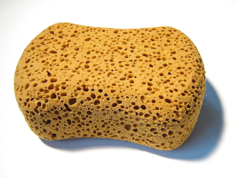 Bestand:Sponge-natural.jpg