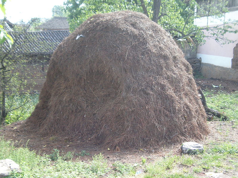 Bestand:800px-Yunnan haystack.jpg