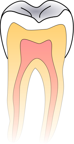 Bestand:245px-Dentistry logo svg.png