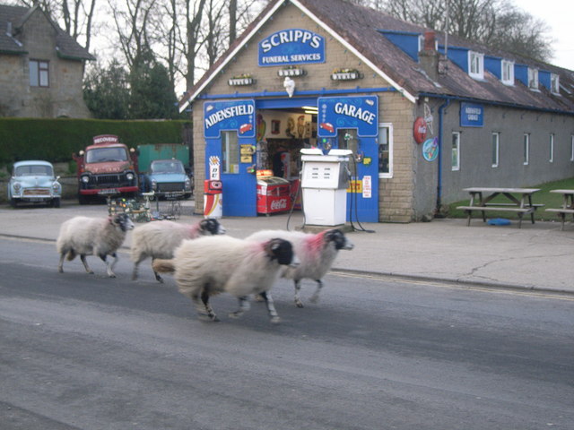 Bestand:Scripp's Garage and sheep running along outside - geograph.org.uk - 685505.jpg