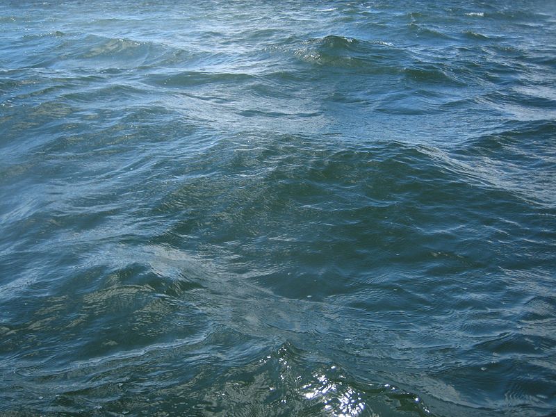 Bestand:800px-Plain water (seawater of the Finnish Gulf).jpg