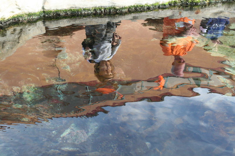 Bestand:800px-Photo of two people reflected in a fish pond.jpg