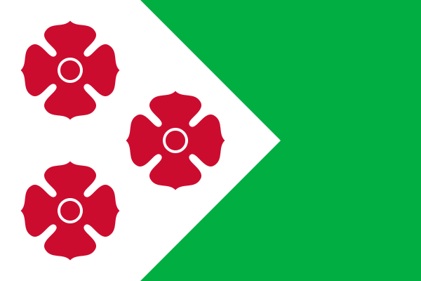 Bestand:Flag of Maasdonk.png