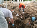 Miniatuur voor Bestand:Bosnia mass grave.jpg