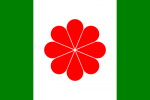 Miniatuur voor Bestand:Flag of Taiwan proposed 1996.png