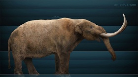 Een grafische reconstructie van een Amerikaanse mastodont (Mammut americanum).
