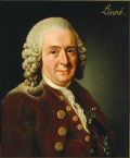 Miniatuur voor Bestand:Carolus Linnaeus (cleaned up version).jpg